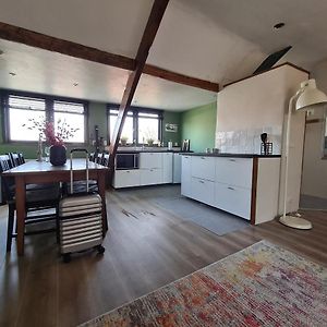 Superior Studio